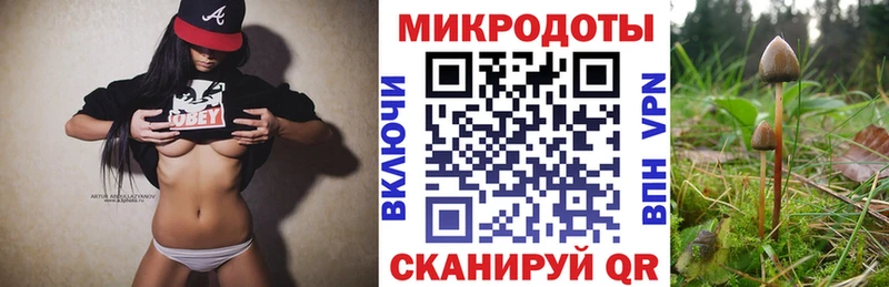 маркетплейс как зайти что такое наркотик KRAKEN зеркало Инза Псилоцибиновые грибы прущие грибы